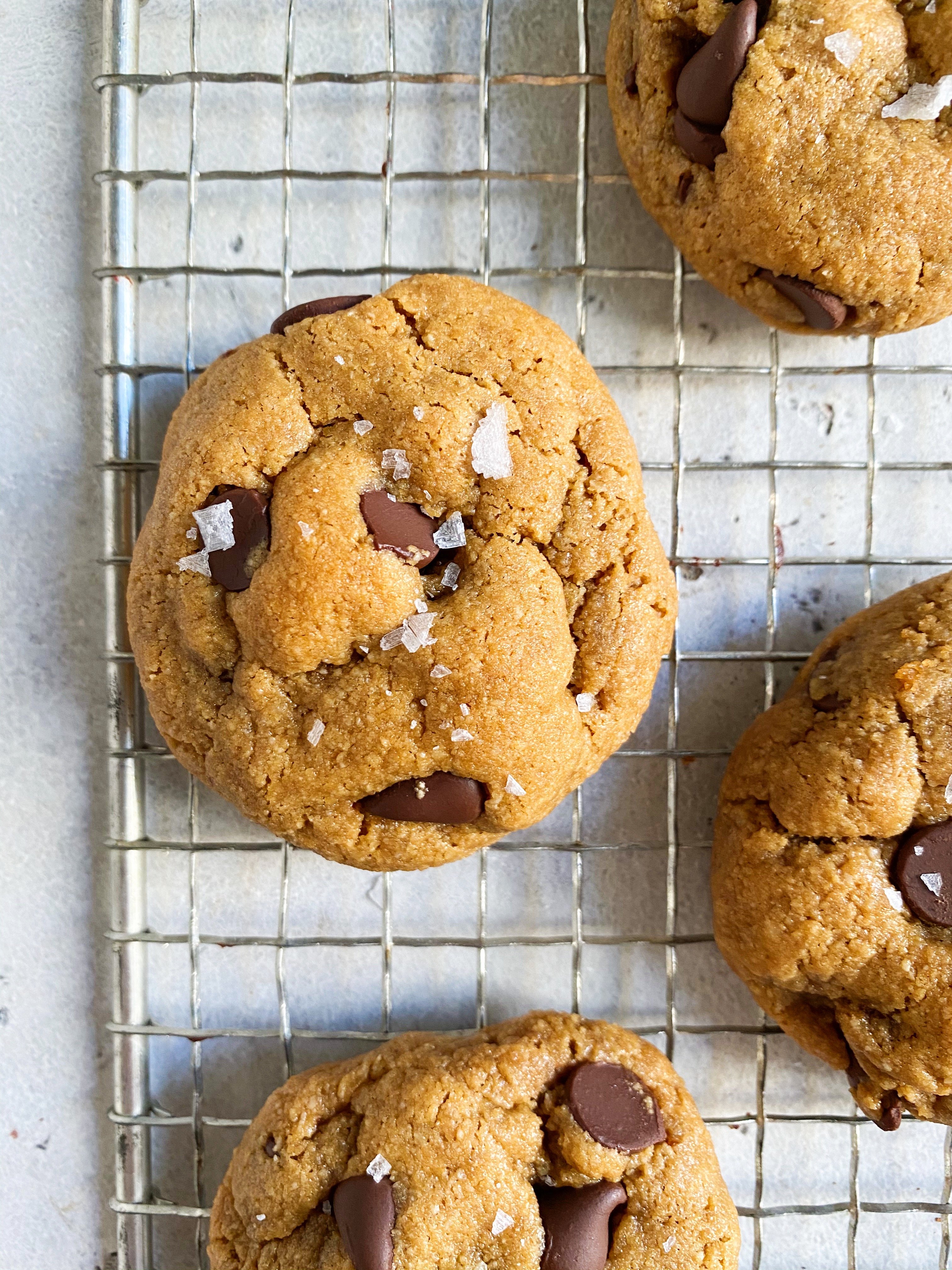 Chewy Paleo Chocolate Chip Cookies